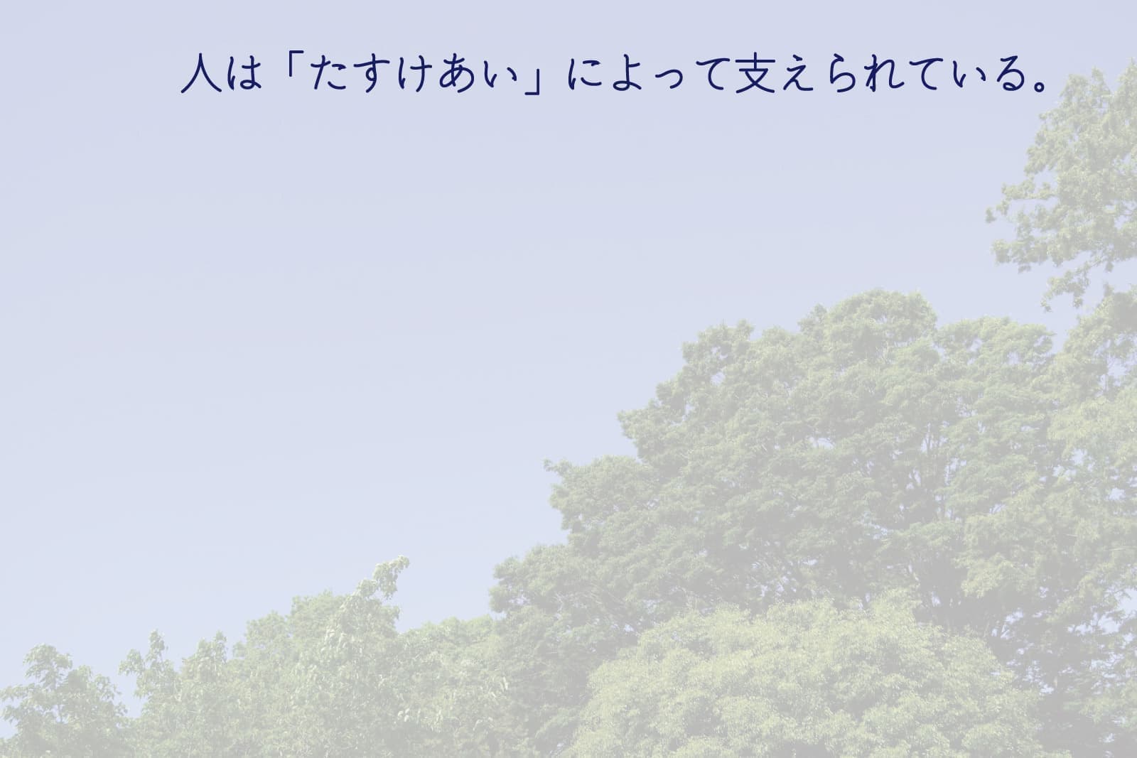 img20240406141218053891.jpg